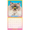 image Avanti Cranky Kitties 2025 Wall Calendar