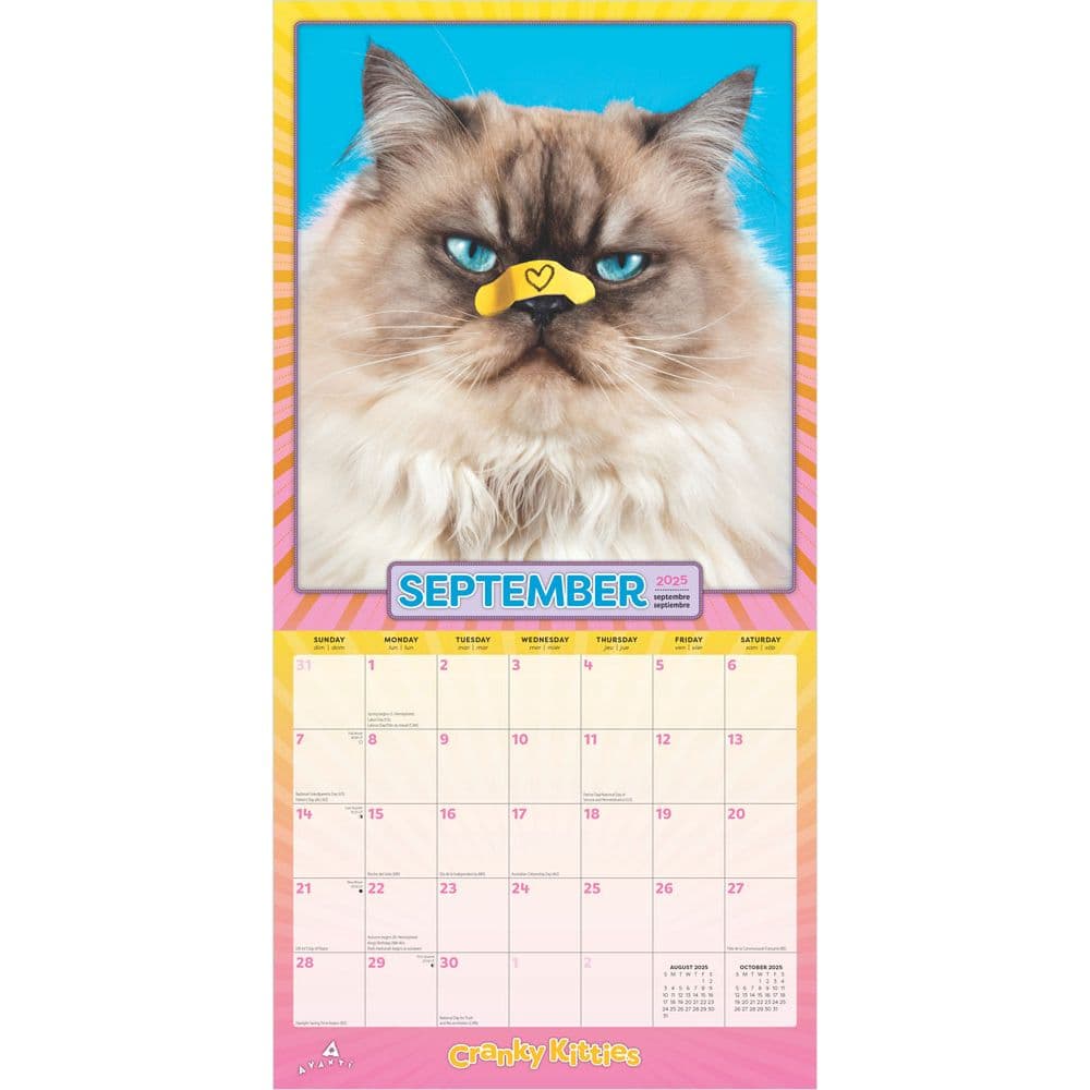 Avanti Cranky Kitties 2025 Wall Calendar