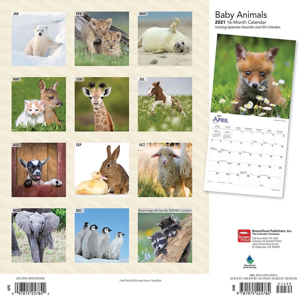 Baby Animals Wall Calendar