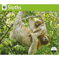 image Sloths WWF 2026 Wall Calendar Main Image