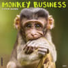 image Monkey Business 2025 Wall Calendar Main Product Image width=&quot;1000&quot; height=&quot;1000&quot;