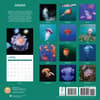 image Jellyfish 2025 Wall Calendar First Alternate Image width="1000" height="1000"