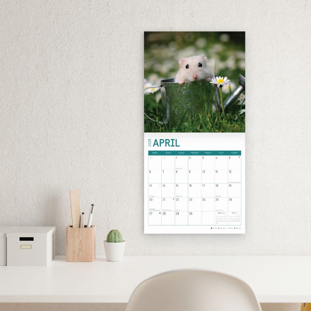 Hamsters 2025 Wall Calendar Fifth  Alternate Image