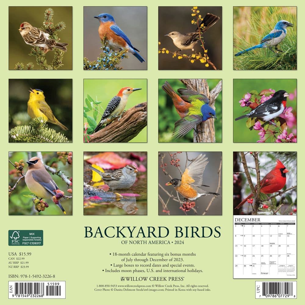 Birds Backyard 2024 Wall Calendar