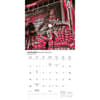 image Vegas Lux 2025 Wall Calendar Second Alternate Image width="1000" height="1000"