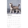 image Siberian Husky Puppies 2025 Wall Calendar Second Alternate Image width=&quot;1000&quot; height=&quot;1000&quot;