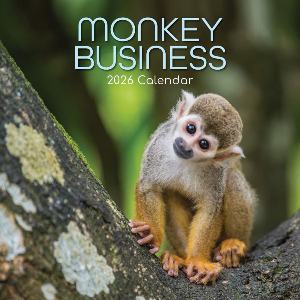 Monkey Business 2026 Wall Calendar  Main Image