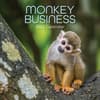 image Monkey Business 2026 Wall Calendar  Main Image
