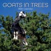 image Goats in Trees 2025 Wall Calendar Main Product Image width=&quot;1000&quot; height=&quot;1000&quot;