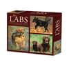 image Just Labs 2026 Desk Calendar  Main Image