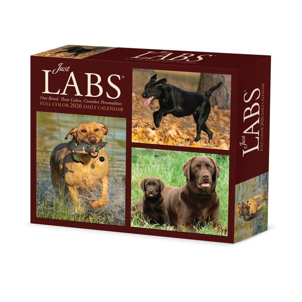 Just Labs 2026 Desk Calendar  Main Image