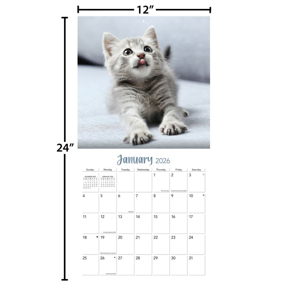 Curious Kittens 2026 Wall Calendar_ALT5