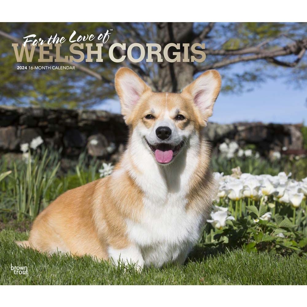 Welsh Corgis Deluxe 2024 Wall Calendar Main Product Image width=&quot;1000&quot; height=&quot;1000&quot;