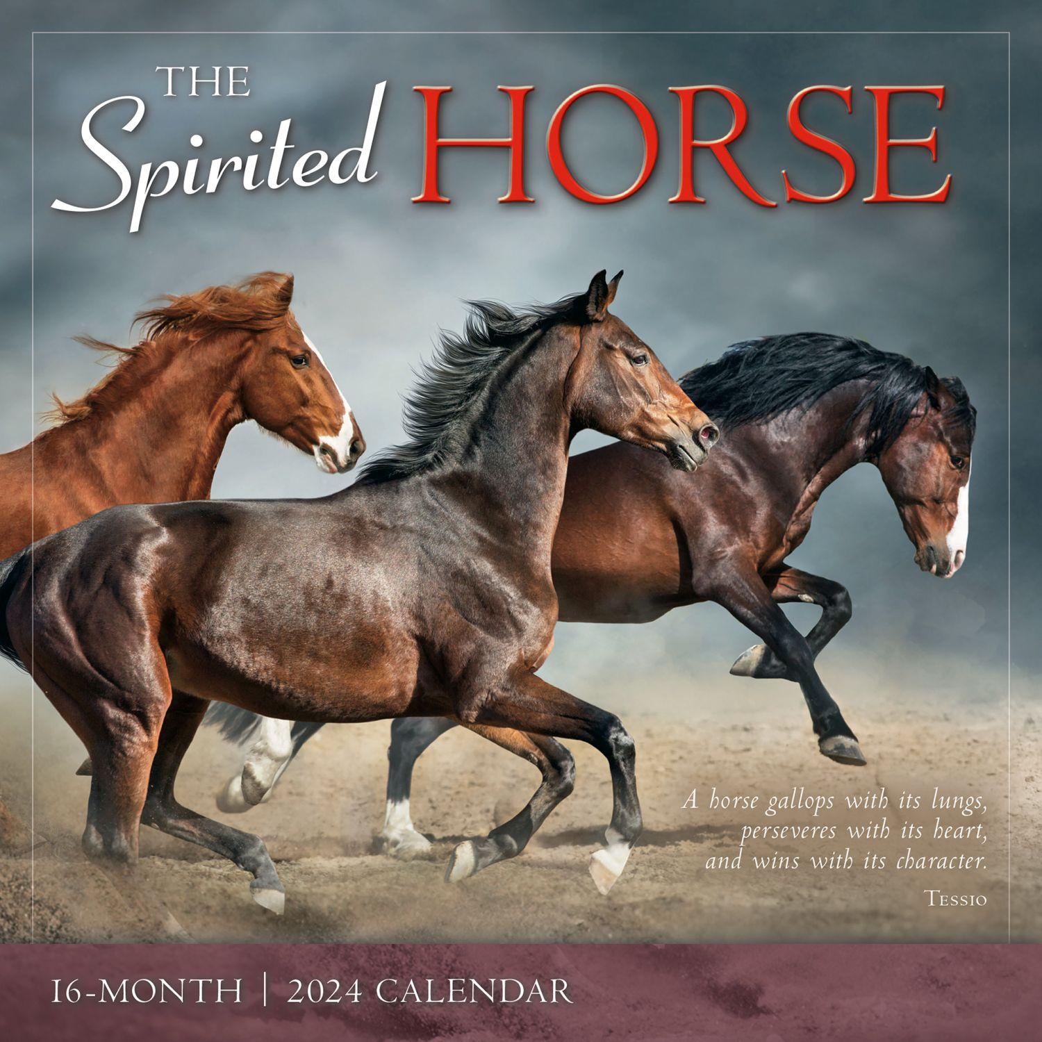 Spirited Horse 2024 Wall Calendar