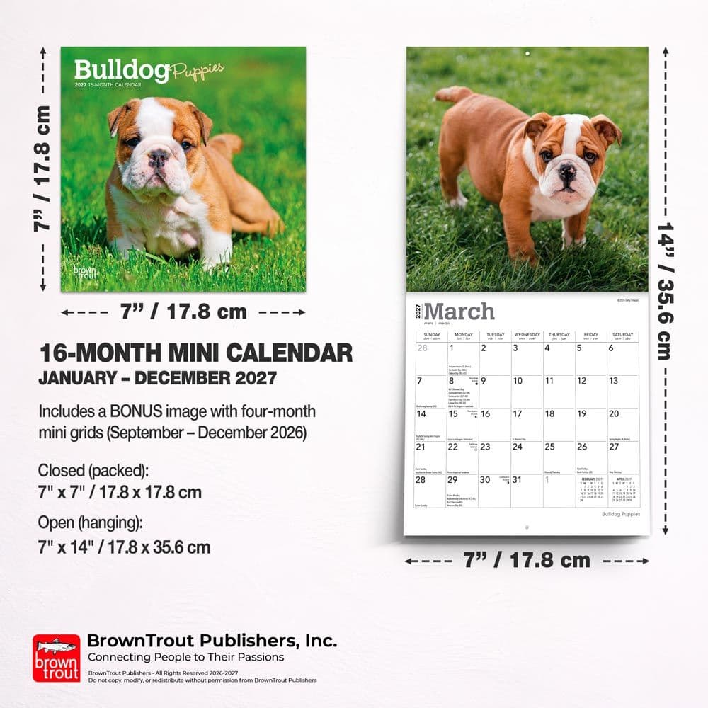 Bulldog Puppies 2027 Mini Wall Calendar Sixth Alternate Image