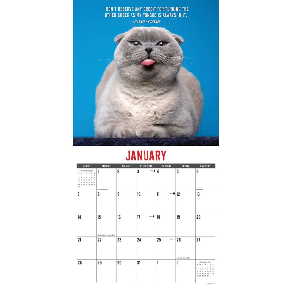 Bad Kitties Just 2024 Wall Calendar