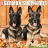 image Just German Shepherds 2024 Wall Calendar Main Image