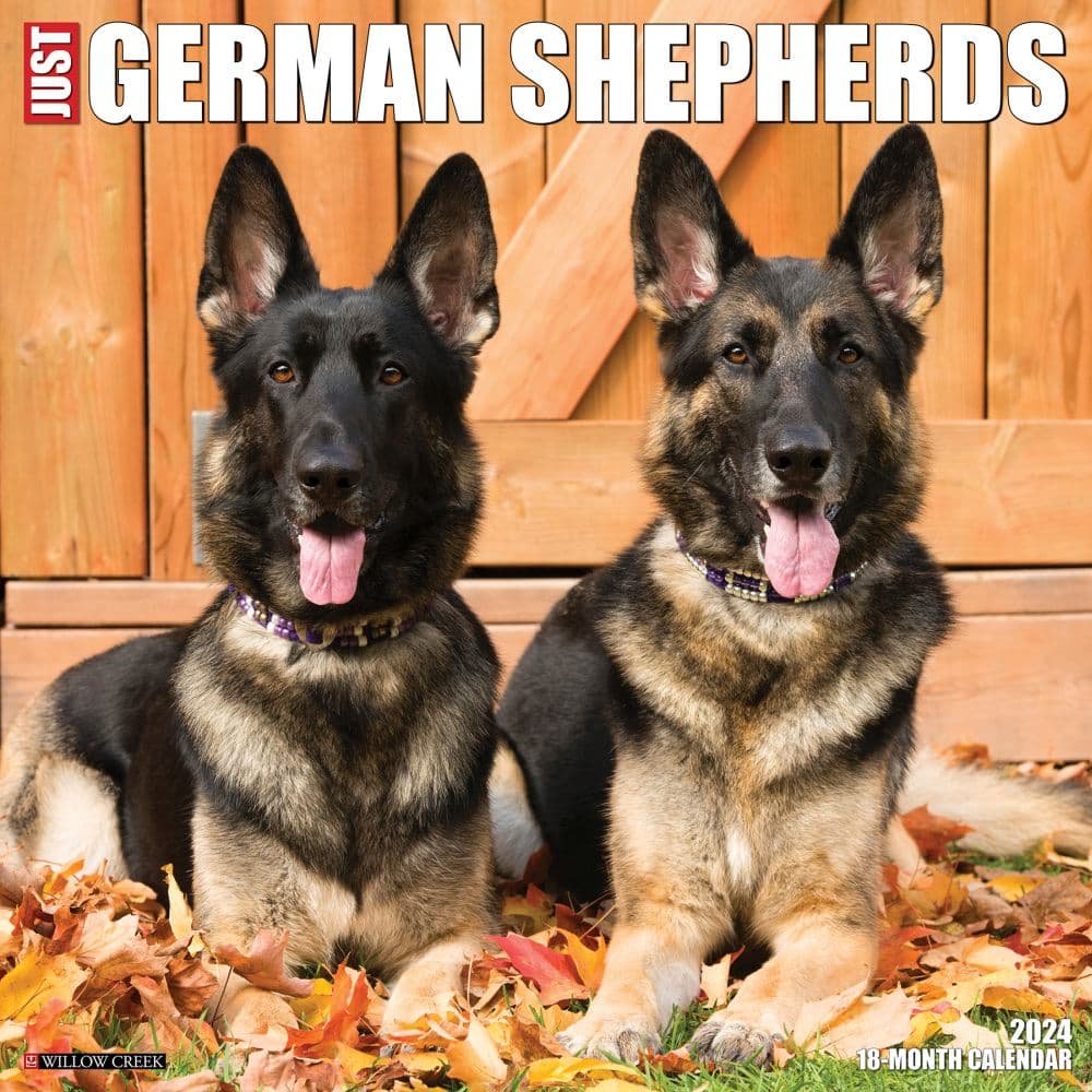 Just German Shepherds 2024 Wall Calendar Main Image