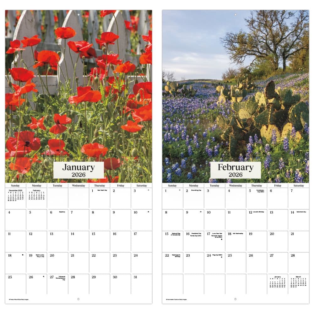 Texas Wildflowers 2026 Wall Calendar Fifth Alternate Image