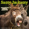 image Sassy Jackassy 2025 Wall Calendar Main Image