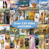 image African Greys 2027 Wall Calendar Seventh Alternate Image