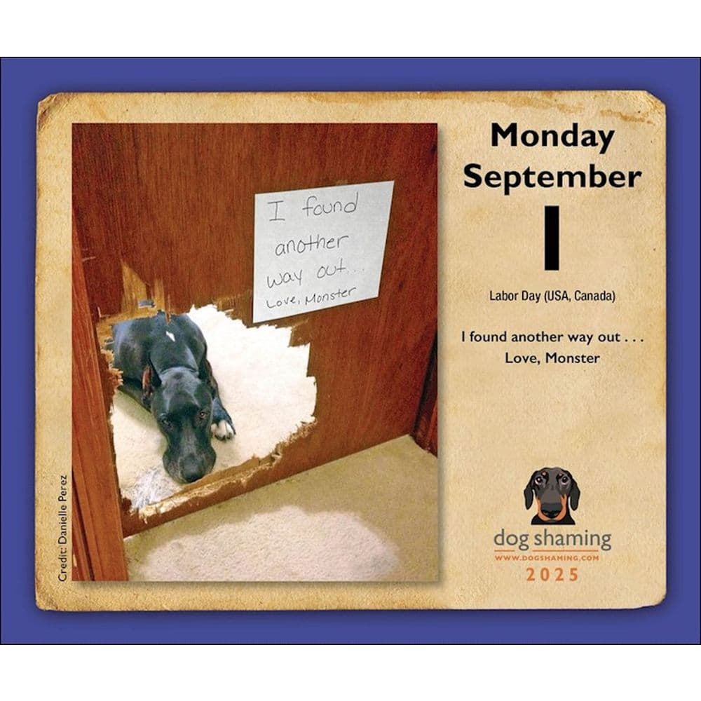 Dog Shaming 2025 Desk Calendar Fourth Alternate Image