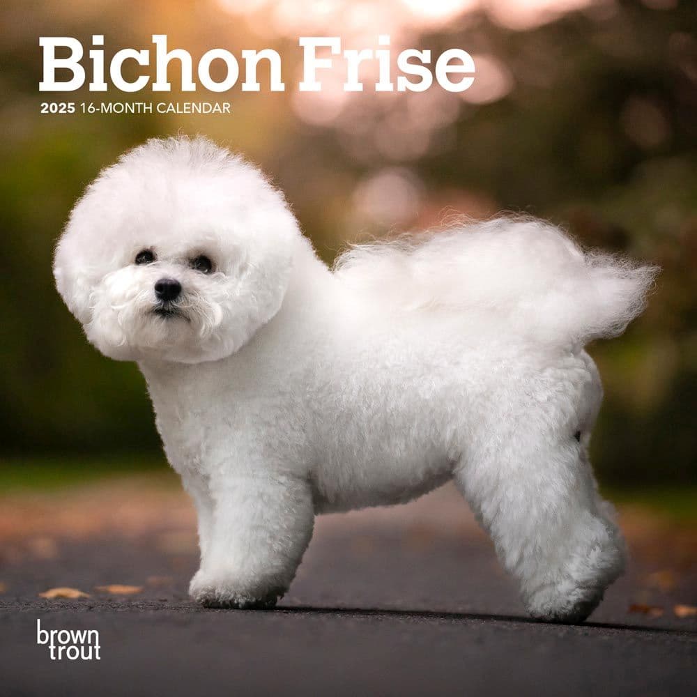 Bichon Frise 2025 Mini Wall Calendar