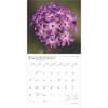 image Desert Wildflowers 2025 Wall Calendar Third Alternate Image