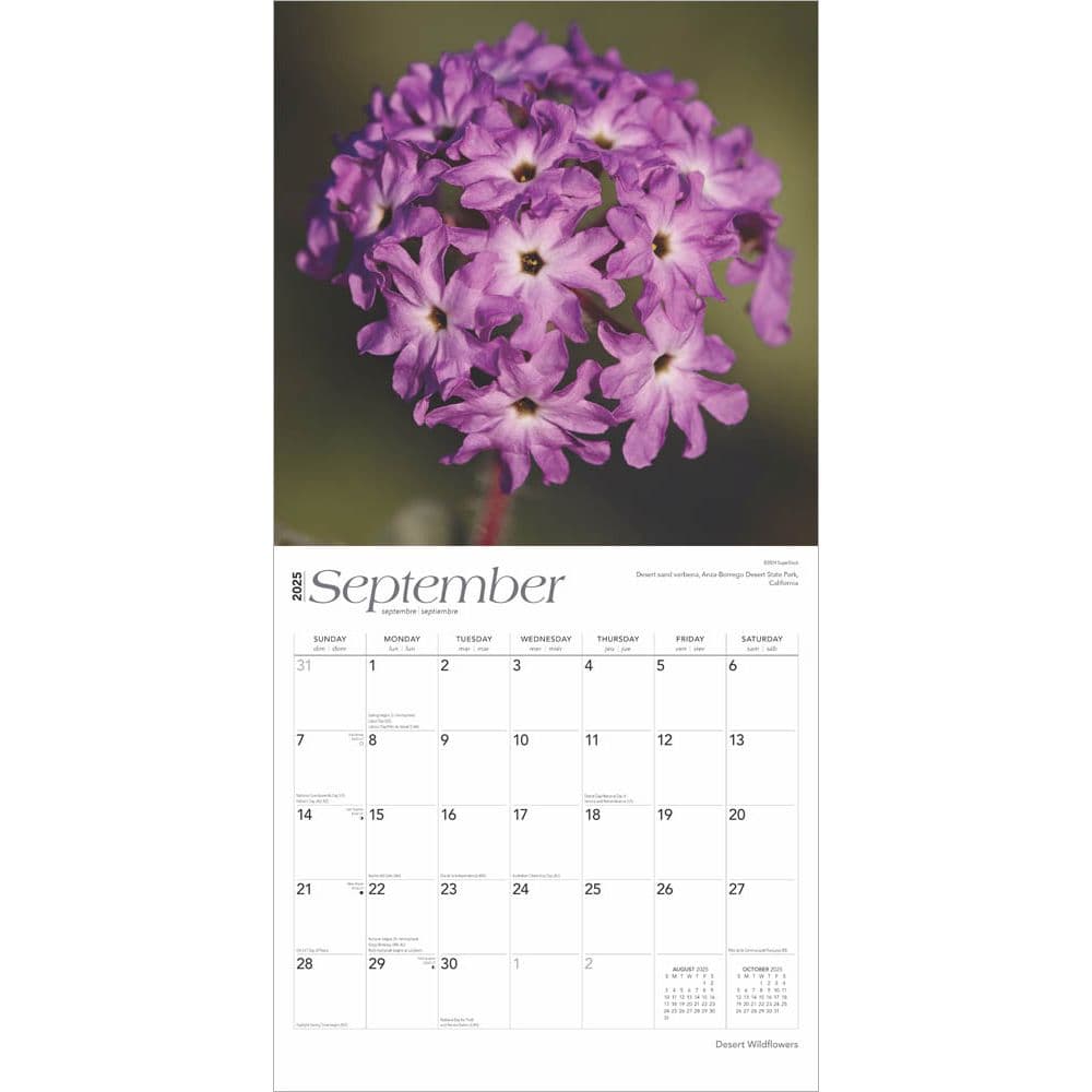 Desert Wildflowers 2025 Wall Calendar Third Alternate Image