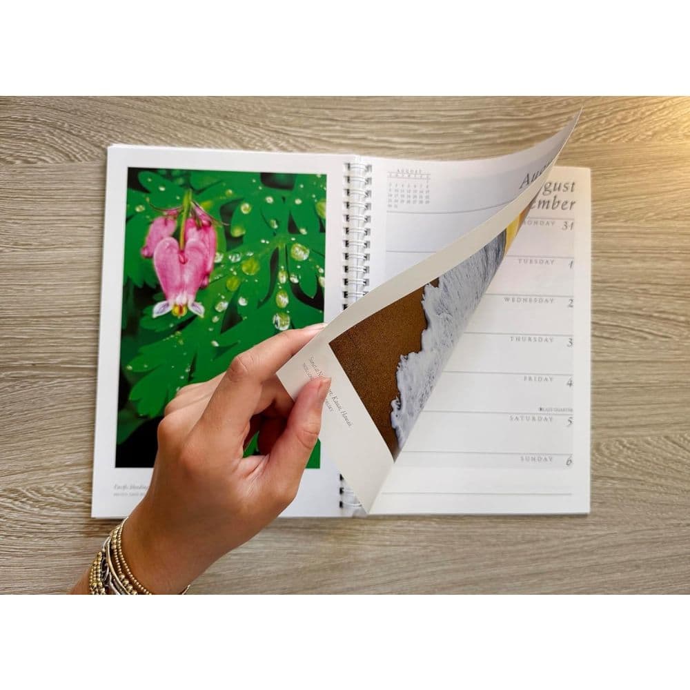 Sierra Club 2026 Engagement Planner Third Alternate Image