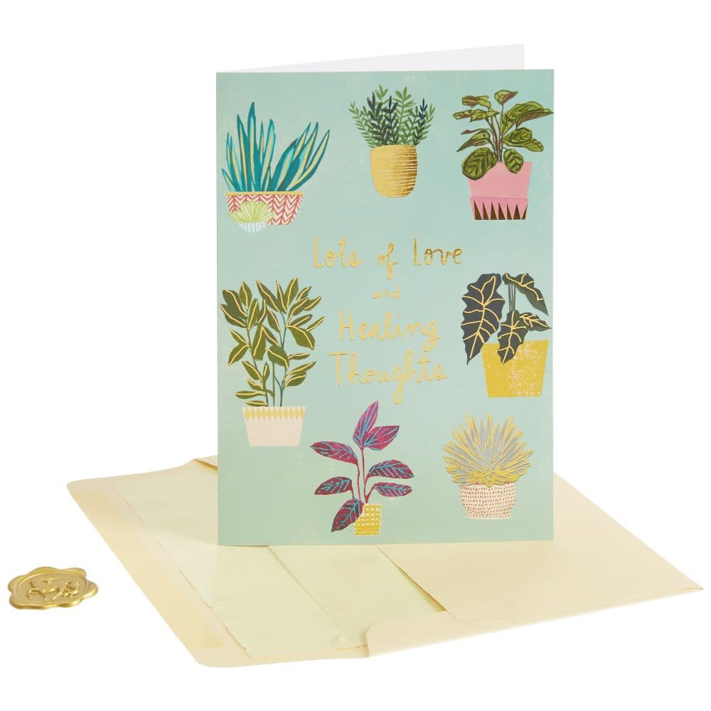 Potted Plants Get Well Card Eighth Alternate  Image width=&quot;1000&quot; height=&quot;1000&quot;