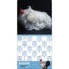 image Extraordinary Chickens 2026 Wall Calendar Fourth Alternate Image