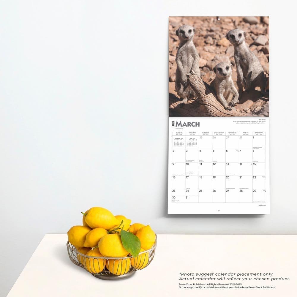 Meerkats 2025 Wall Calendar Fourth Alternate Image