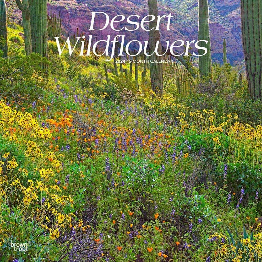 Desert Wildflowers 2024 Wall Calendar Main Product Image width=&quot;1000&quot; height=&quot;1000&quot;