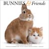 image Bunnies and Friends 2025 Wall Calendar Main Image