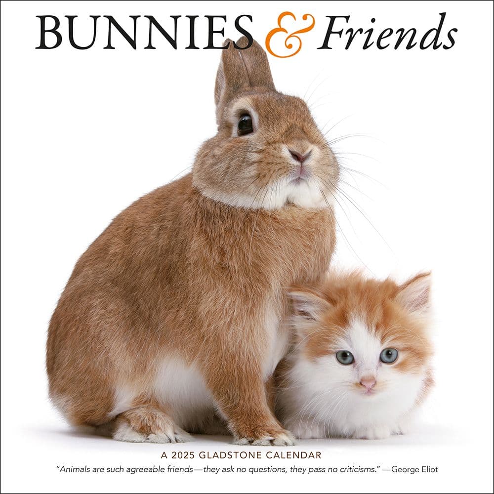 Bunnies and Friends 2025 Wall Calendar Main Image