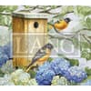 image Birdhouses 2025 Desktop Wallpaper