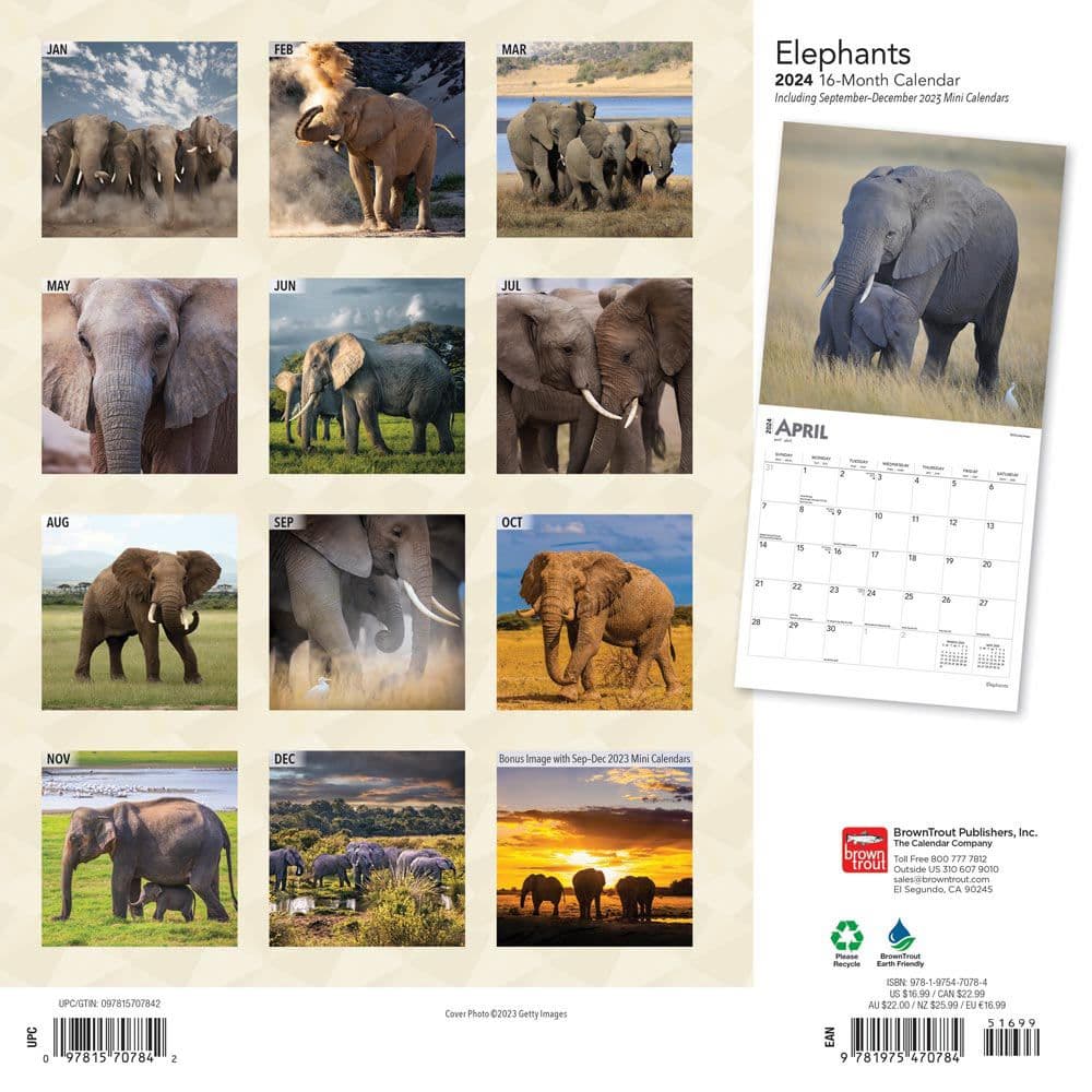 Elephants 2024 Wall Calendar