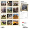 image Elephants 2024 Wall Calendar First Alternate Image width=&quot;1000&quot; height=&quot;1000&quot;