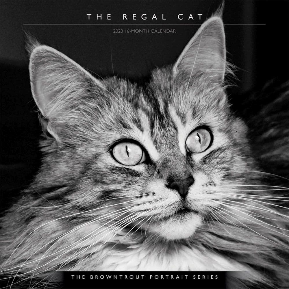 Regal Cat Portrait Series Wall Calendar Calendars com Regal Cat Portrait Series Wall Calendar Calendars com