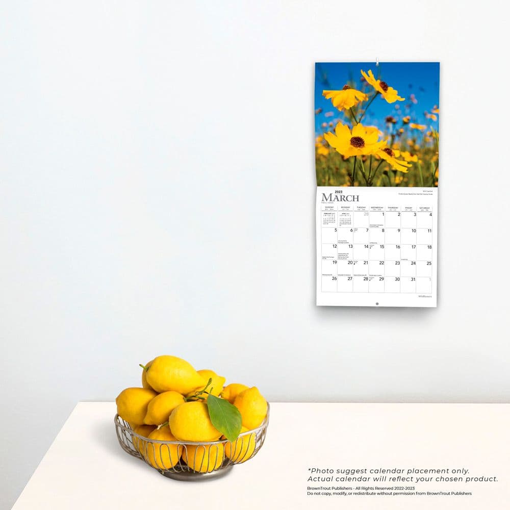 Wildflowers 2023 Mini Wall Calendar - Calendars.com