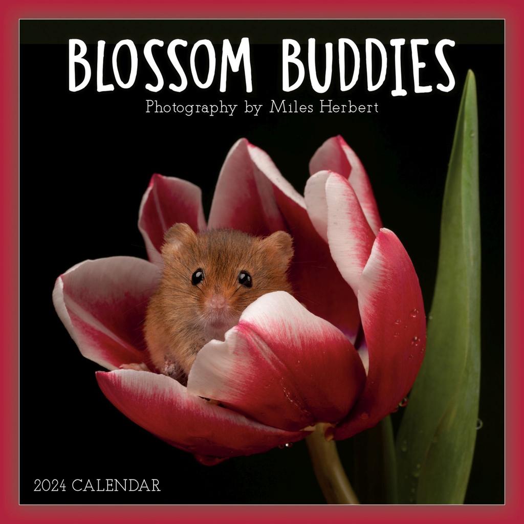 Blossom Buddies By Herbert 2024 Mini Wall Calendar Main Image