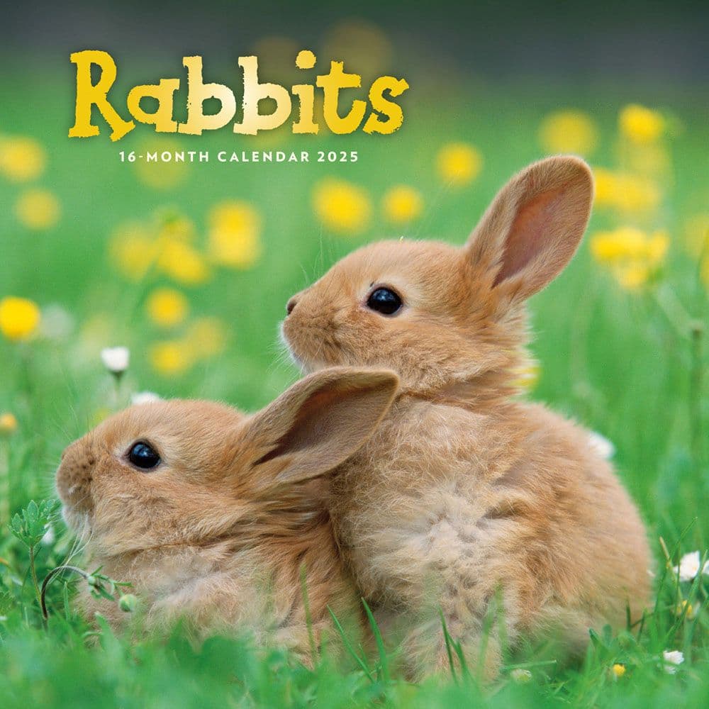 Rabbits 2025 Wall Calendar