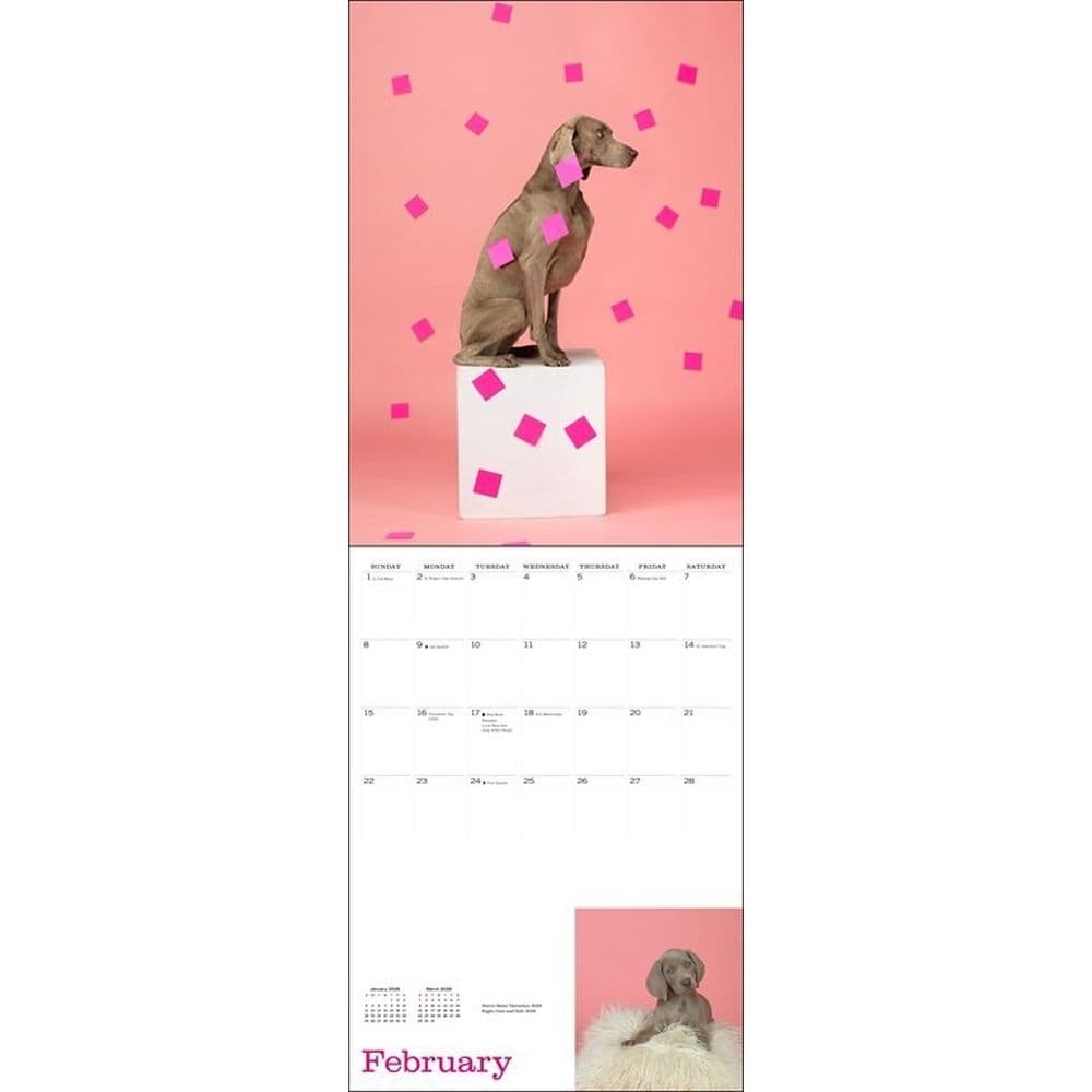 Mans Best Friend by William Wegman 2026 Wall Calendar Second Alternate image
