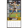 image MLB San Diego Padres 2025 Wall Calendar Third Alternate Image