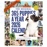 image Puppies 365 Days 2026 Wall Calendar Main Product Image