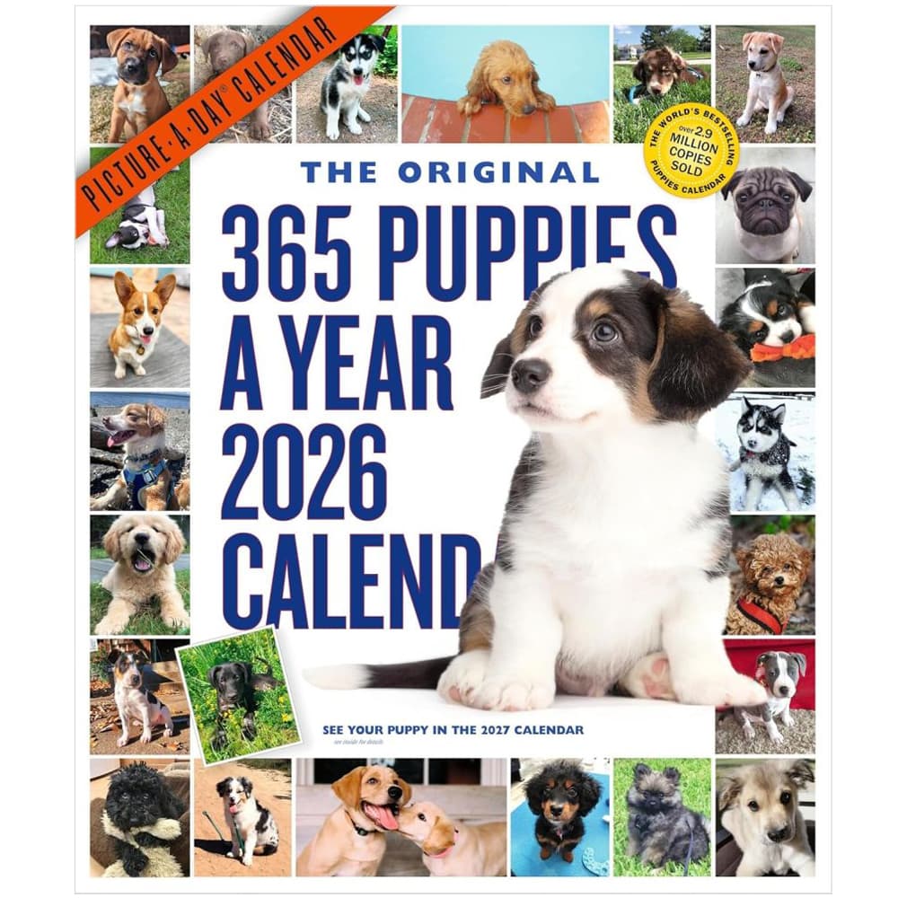 Puppies 365 Days 2026 Wall Calendar Main Product Image
