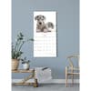 image Puppies &amp; Friends 2024 Wall Calendar Fifth Alternate Image width=&quot;1000&quot; height=&quot;1000&quot;