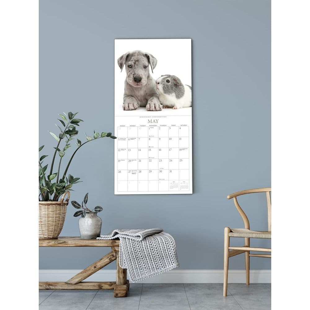 Puppies &amp; Friends 2024 Wall Calendar Fifth Alternate Image width=&quot;1000&quot; height=&quot;1000&quot;
