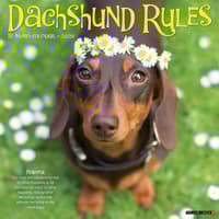 image Dachshund Rules 2026 Wall Calendar Main Image